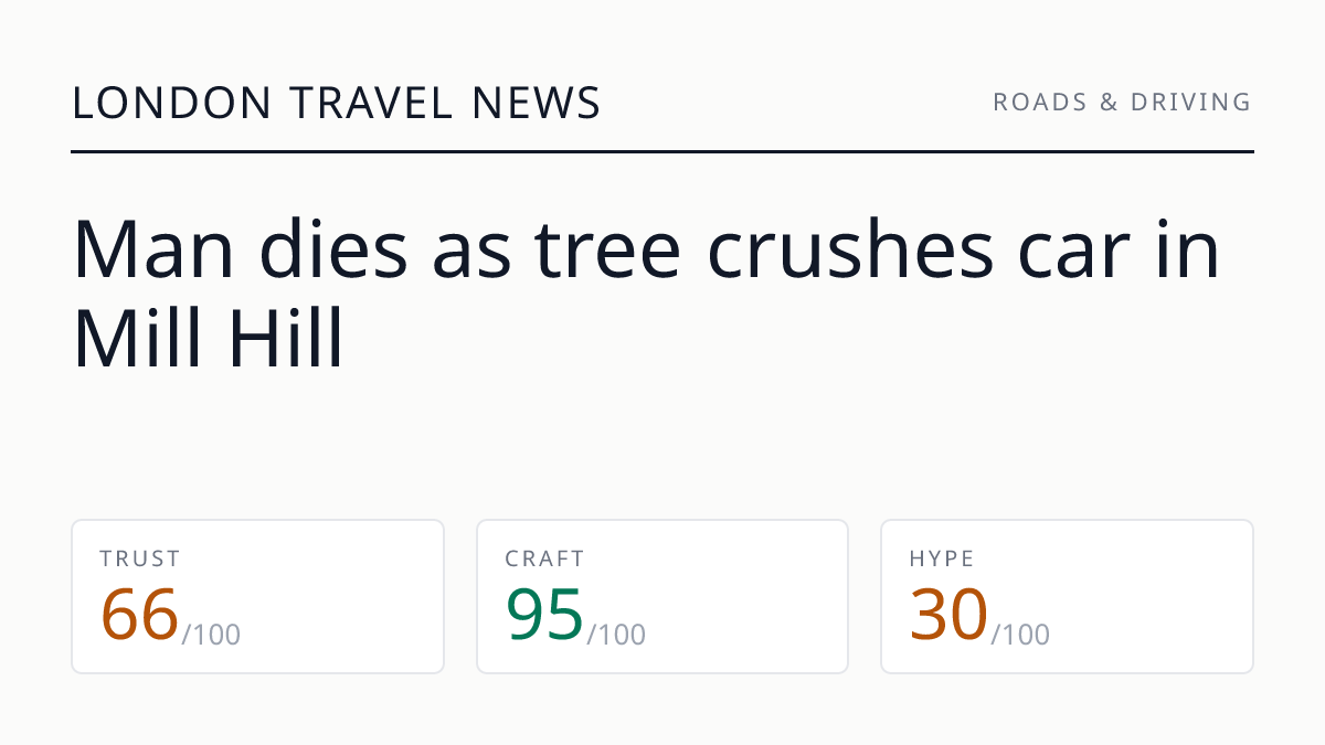 Man dies as tree crushes car in Mill Hill